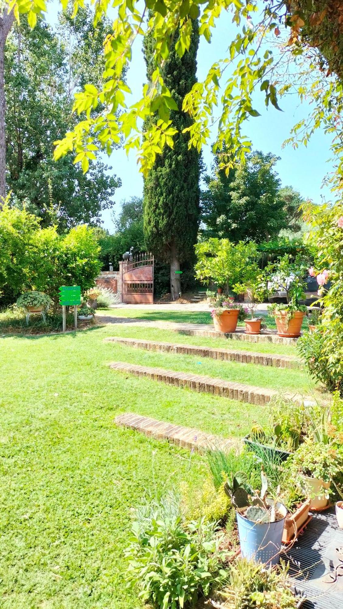 Ca' Dei Gelsi B & B Кориано Екстериор снимка