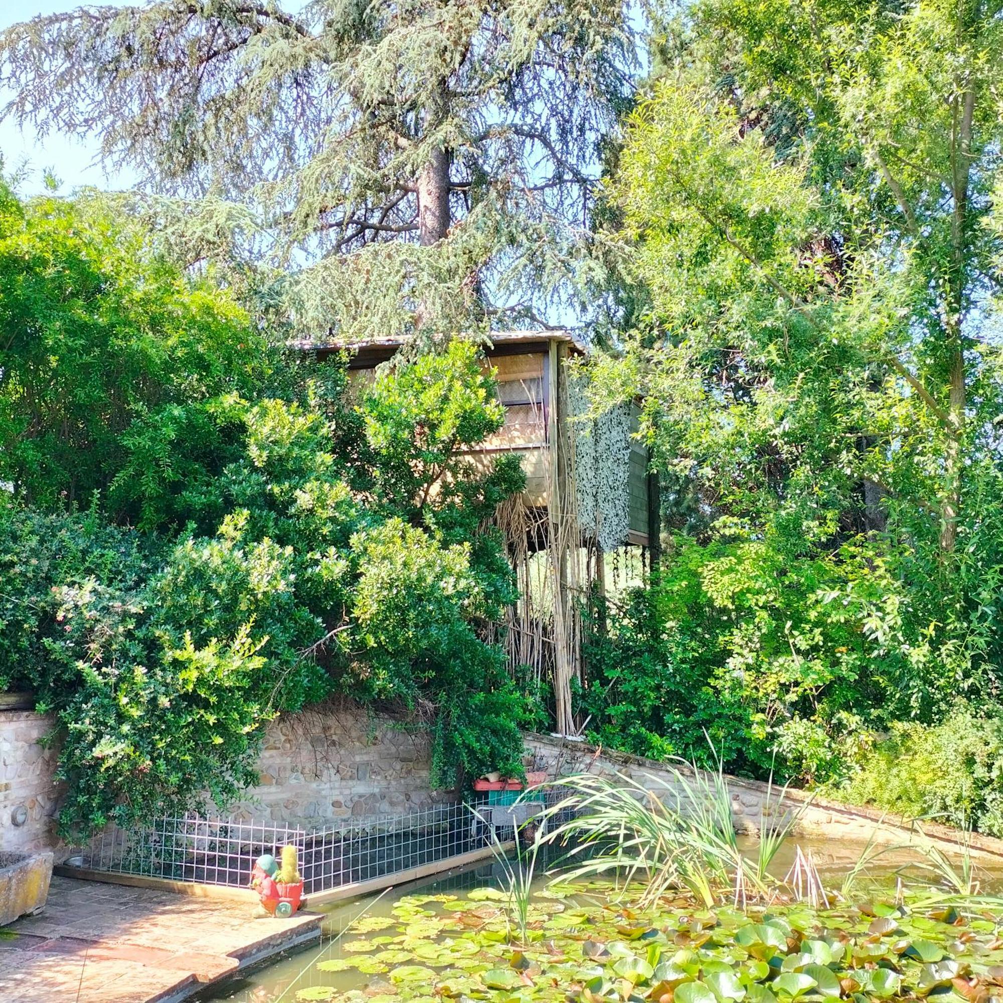 Ca' Dei Gelsi B & B Кориано Екстериор снимка